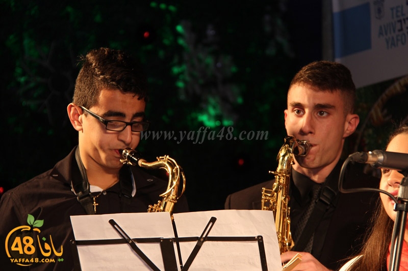 tree xrismass (54).JPG